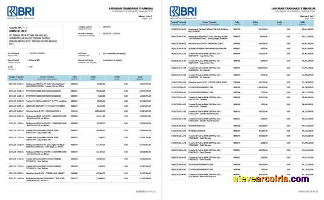 Indonesia Bank Rakyat Indonesia (BRI) statement of financial transaction Word and PDF, 2 pages